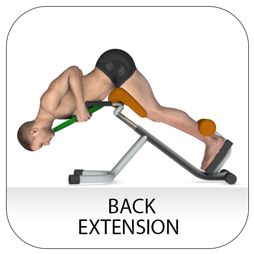 Back extension